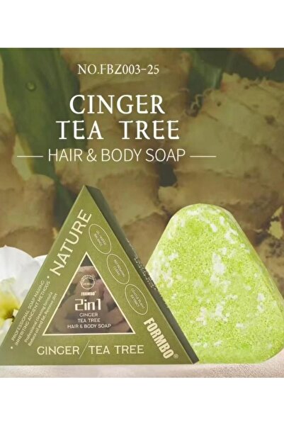 Nature Formbo 2 in 1 Ginger Tea Tree Hair & Body Soap – Herbal Cleanser for H...