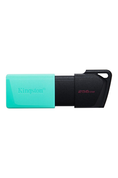 Kingston 256GB DataTraveler Exodia M