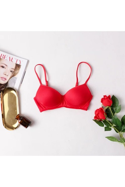 Eces Design French Style Wire Free Mulberry Silk Satin Bra Seamless Soft Brea...