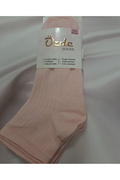 Shine Elagance Solid Color Striped 80% Cotton Extra Soft 3-Pack Women's Booti...