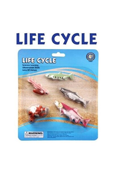 PlayFun Set figurine ciclul de viață al somonului, 5 etape, multicolor