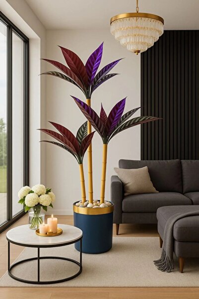 Altun Çiçekcilik KILIC YAPRAĞI 3 GÖVDELİ SIYAH GOLD SAKSI DAHIL