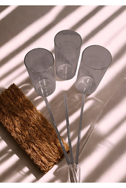 Mutluluk Kutunda Var 3-Piece Borosilicate Glass Cup with Straw
