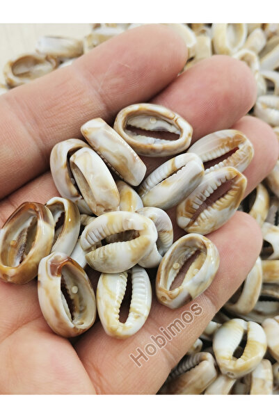 Hobimos 10 Adet Akrilik Kahve Tonlu 2 cm Delikli Deniz Kabuğu Boncuk