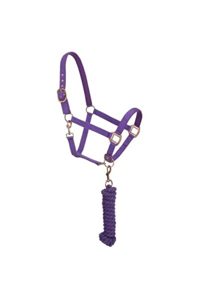 markentegra Antika Görünümlü Yular Seti ve Neopren Dolgulu At Başlığı