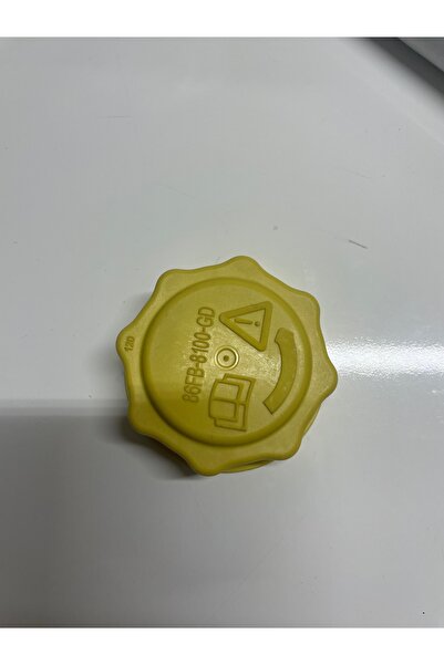 KALE Ford CONNECT Marka radyötör yedek su depo kapağı