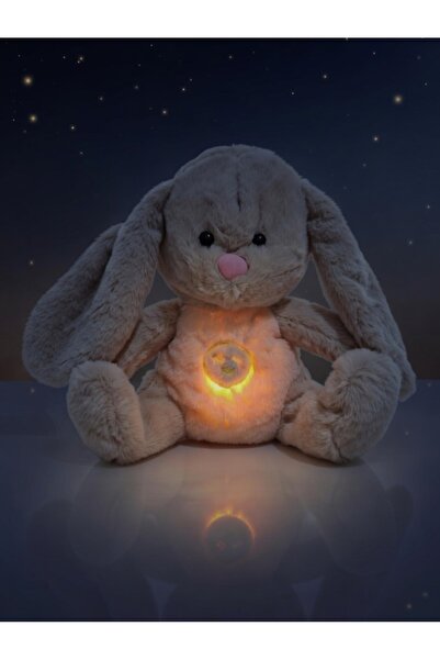 BESTTOYS Uyku arkadaşı sesli ve ışıklı peluş oyuncak (pilli)