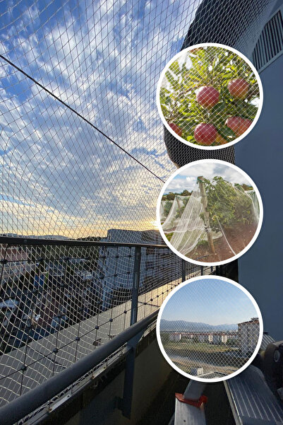 EXPORTYAPI Kuş Ağı – 2 Cm Gözenekli Kuş Filesi – 1,5 Mm Ip – Beyaz Renk – Bal...