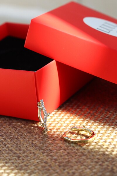 LUUL ATELIER XUPING Zirkon Taş Dal Motif 14K Gold Çelik Halka Küpe