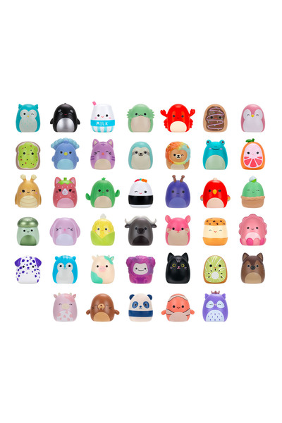 Squishmallows Squish-a-longs Mini-Squish 40'lı Paket SQAL0129