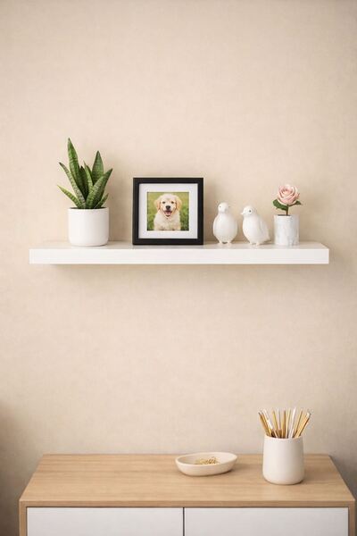 ADIM EBATLAMA Tekli Duvar Rafı - Uçan Raf Gizli Raf Beyaz 15x50