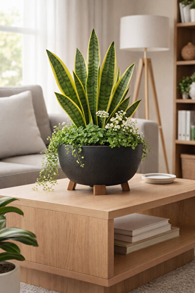 Binbirreyon Katlanır Ayaklı Beton Görünümlü Plastik Saksı 25cm 3,6Lt AH152