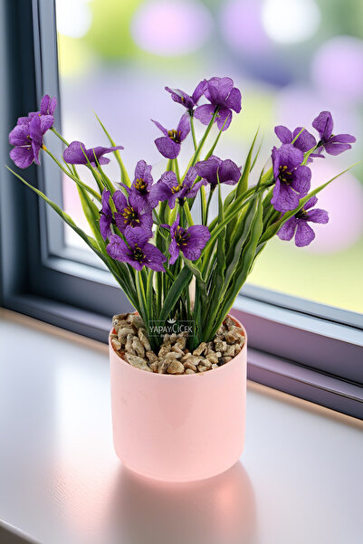 Yapay Çiçek Deposu سيينا تانزيم في وعاء وردي 23 سم باللون الأرجواني