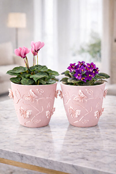 Binbirreyon 2 Adet Renkli 3 Boyutlu Kelebek Saksı 0,7Lt 12x10,5cm AH137