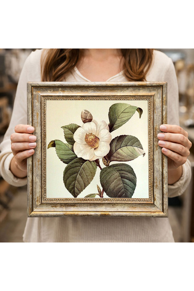 woodsia Decorative Framed Square Painting Dc0256