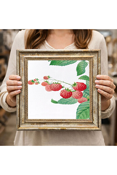 woodsia Decorative Framed Square Painting Dc0237