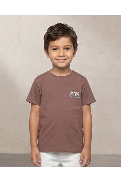 REDTAG Boys Brown Printed T-Shirt
