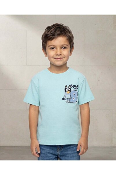 REDTAG تي شيرت أزرق مطبوع للأولاد