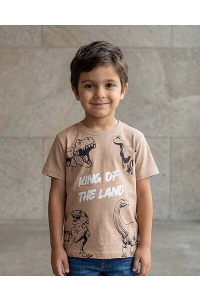 REDTAG Boys Brown Printed T-Shir