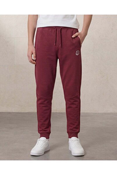 REDTAG Senior Boys Burgundy Active Pants