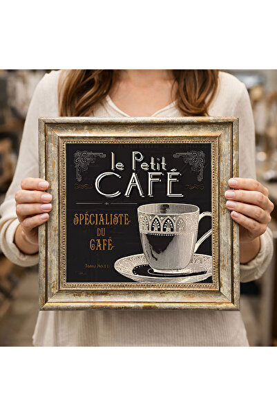 woodsia Decorative Framed Square Painting Dc0215