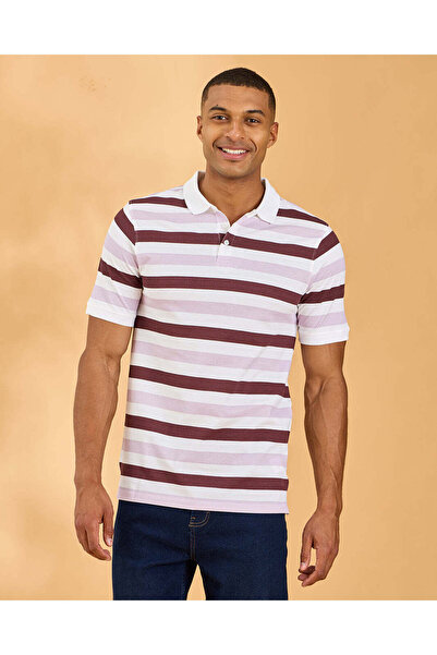 REDTAG Men Striped Classic Polo Shirt
