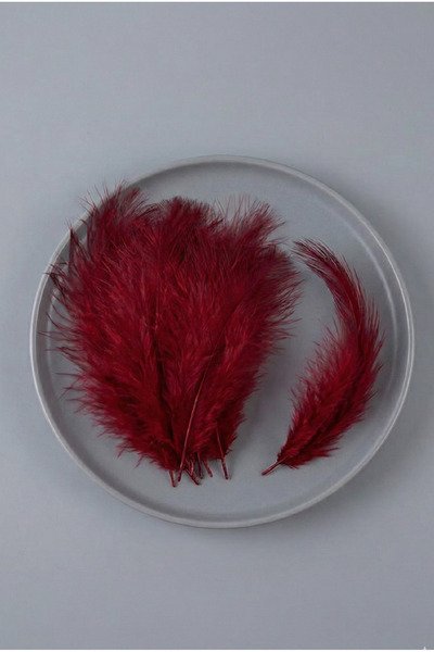 Massaltay ريش طيور أحمر، عبوة من 100 قطعة، ريش زخرفي صناعي ملون للهوايات والأ...