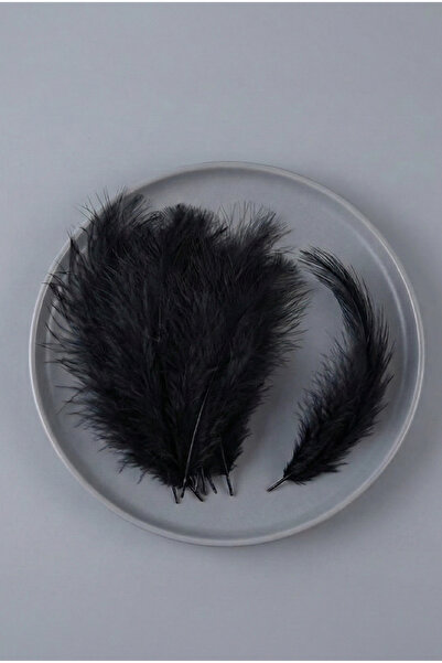 Massaltay Μαύρα φτερά πουλιών 100 τεμαχίων, πολύχρωμα τεχνητά φτερά διακόσμησ...