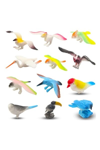 MASHASHOP Set of 12 Figurines, Birds of the World, multicolor, 6 cm
