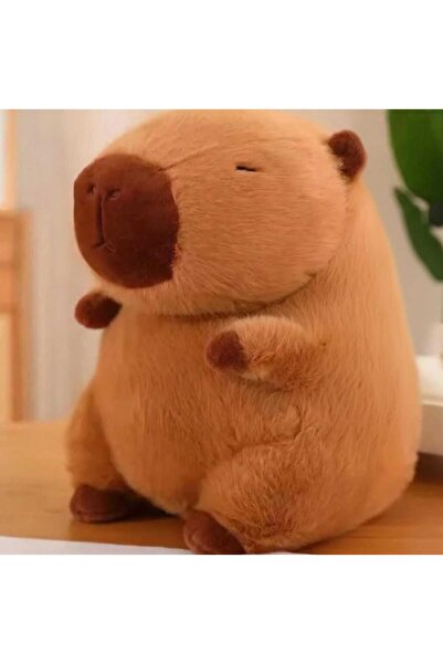 strong group Capybara peluş oyuncak kapibara peluş uyku arkadaşı 40 cm Büyük ...