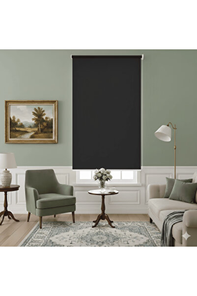 Generic Black Roller Curtain