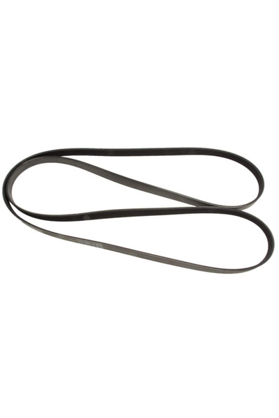 Other سير كمبروسر