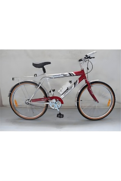 Rally 24-inch bicycle
