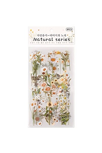 ENVY Store ENVY Scrapbooking Ajanda Günlük Journal Süsleme Doğal Bitki Görünü...