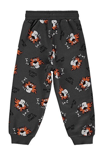 Civil Boys Χορεύτρια Τίγρη Εμπ. Φόρμα για ηλικίες 2-5 ετών - Γκρι 3-4 ετών