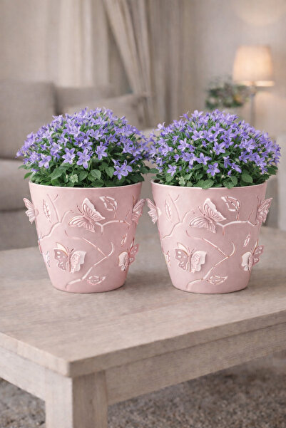 Binbirreyon 2 Adetli Üç Boyutlu Kelebek Saksı 14,5cm 1,4Lt AH093R