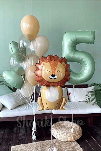 Bunloon Retro Color 5 Year Old Lion Themed 10 Piece Balloon Set
