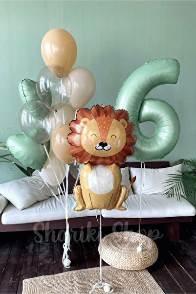 Bunloon Retro Color 6 Year Old Lion Themed 10 Piece Balloon Set