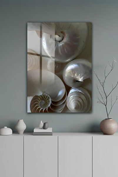 kutuTR İnci Tonlu Deniz Kabuğu Spiral Desenli Temperli Cam Tablo 50x70 Cm 2D ...