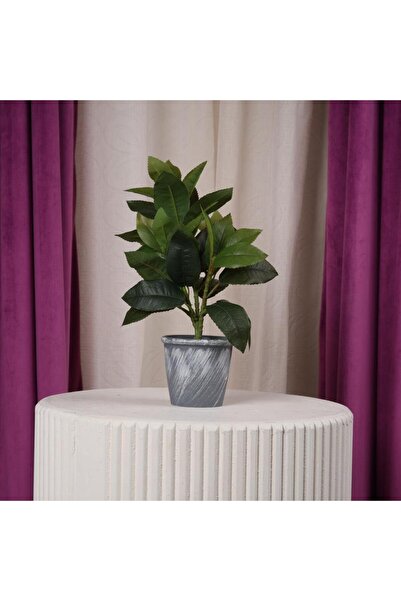 Gifts World شجرة زينة اصطناعية صغيرة