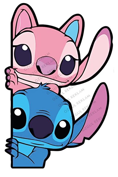 ÖZGÜL REKLAM İkili Sticker 11x16,7 cm Yüksek Çözünürlüklü Araba Motor Kask La...