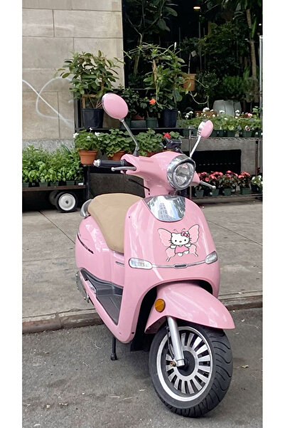 DRN DİZAYN Sevimli Kanatlı Kedi Scooter Sticker – Motor Ön Panel Çıkartma
