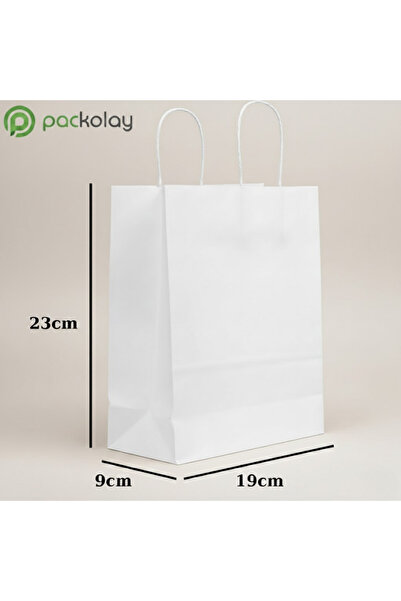 PACKOLAY White Kraft Cardboard Bag 19X9X23 cm Boutique Bag with Twist Handle ...