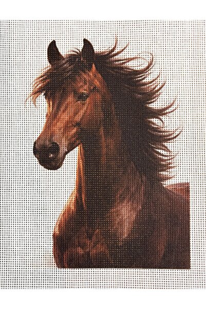 ÇeşitPınarı Süblimasyon Baskılı Goblen 30x35 cm At Temalı