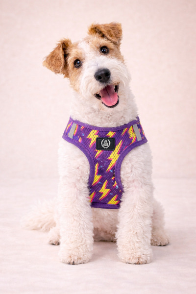 Alphadog Design Thunder Air Mesh Tasma