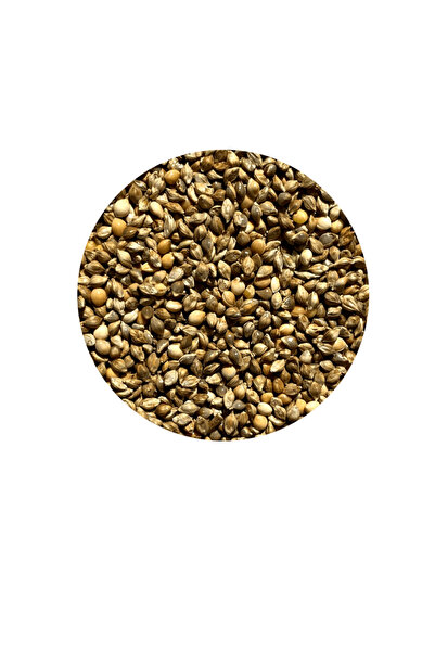 hk Japon Darısı 1 Kg