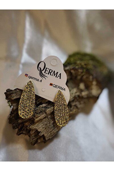 QERMA Steel Earrings