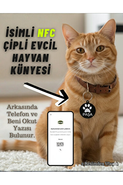Antin Kuntin Shop İsme Özel Akıllı NFC Kedi Künyesi İsimlik Tasma- Kayıp Önle...
