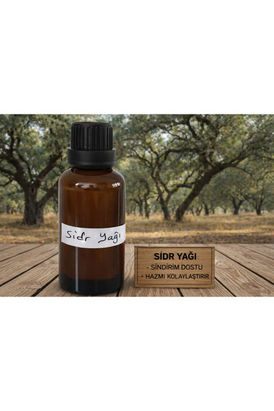 Bitkisepetimden Sidr Yağı (Ziziphus) – Geleneksel Bitkisel Bakım Yağı