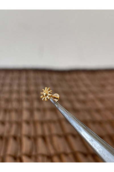 Rupen Kraft Gerçek Titanium G23 Güneş Altın Titanyum 6x1.2mm Labret Piercing